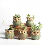 5Pcs Quality Cute Small Owl Shaped Flower Pots Ceramic